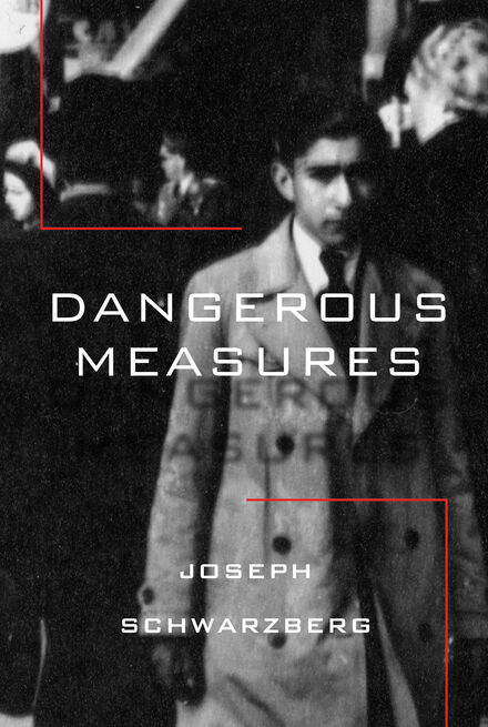 Book Cover of Dangerous Measures (Traduction française à venir)