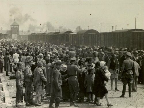 <p>Men, women and children disembarking from the trains at Auschwitz-Birkenau. Oświęcim, Poland, 1944. </p>
<p><em>Yad Vashem Photo Archive, Jerusalem. 14DO9.</em></p>