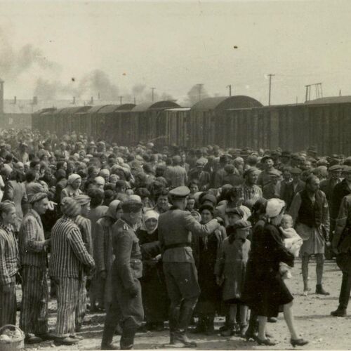 <p>Des hommes, des femmes et des enfants descendent des wagons à Auschwitz-Birkenau. Oświęcim (Pologne), 1944. </p>
<p><em>Archives photographiques de Yad Vashem, Jérusalem, 14DO9.</em></p>
