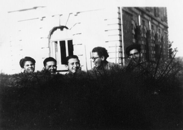 Five boys peering over a hedge and smiling, a building behind them.