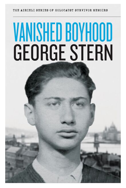 Book Cover of Vanished Boyhood