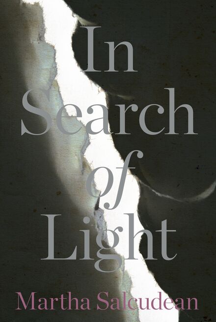 Book Cover of In Search of Light (Traduction française à venir)