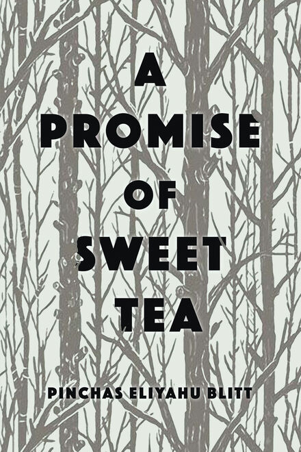Book Cover of A Promise of Sweet Tea