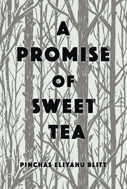 Book Cover of A Promise of Sweet Tea