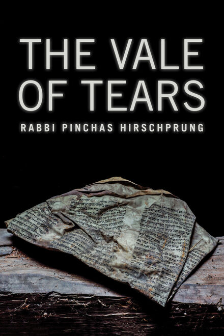 Book Cover of The Vale of Tears (Traduction française à venir)