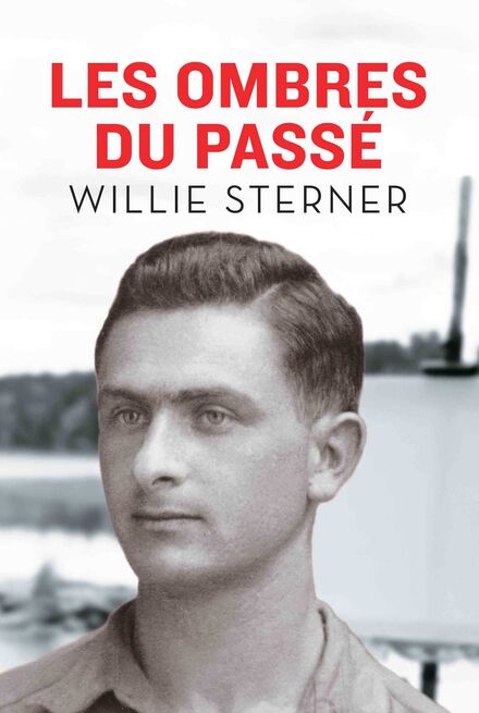 Book Cover of Les Ombres du passé