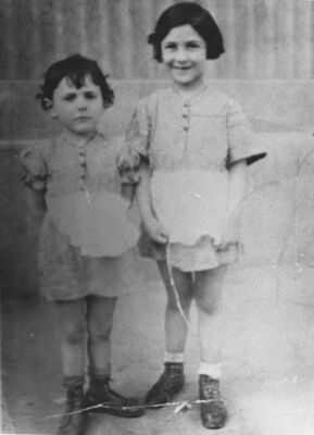 Two small girls in dresses standing next to each other and looking at the camera, one smiling and one serious.