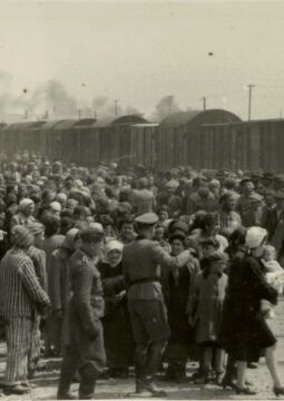 Des hommes, des femmes et des enfants descendent des wagons à Auschwitz-Birkenau. Oświęcim (Pologne), 1944.
Archives photographiques de Yad Vashem, Jérusalem, 14DO9.