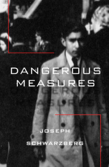 Book Cover of Dangerous Measures