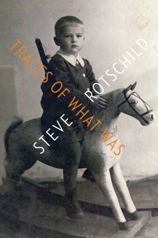 Book Cover of Traces of What Was
